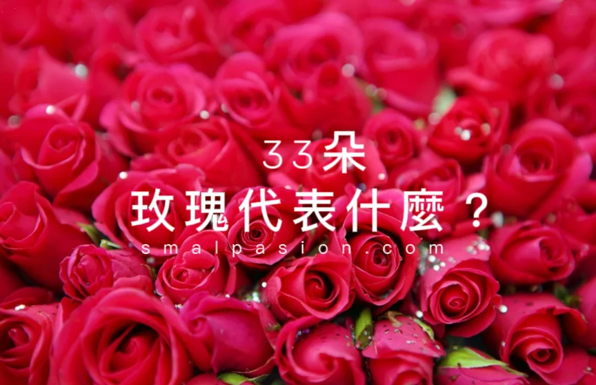 33朵玫瑰代表什麼？
